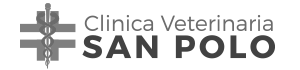 Clinica veterinaria
